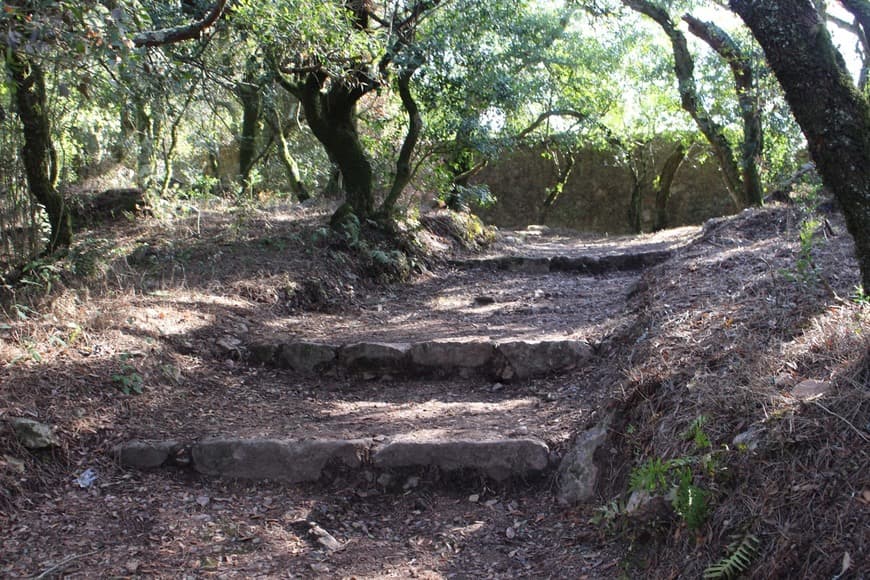 Place Serra do Bussaco