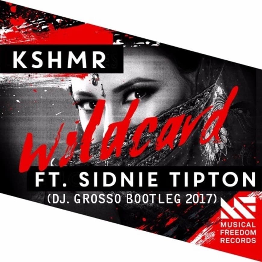 Canción Wildcard - Kshmr