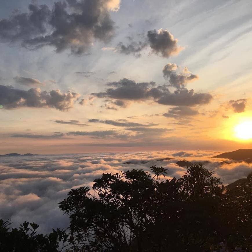 Lugar Pico Do Olho D'agua