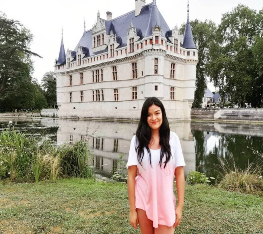 Place Château de Azay-le-Rideau