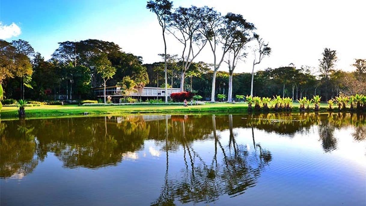 Place Parque Da Cidade - São José Dos Campos