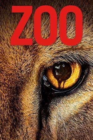 Serie Zoo