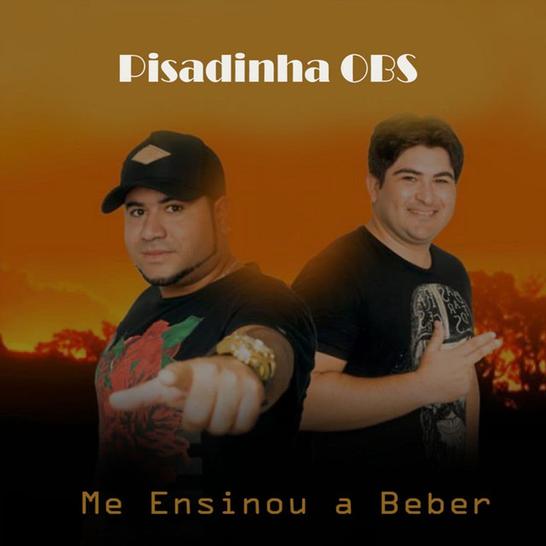 Canción Me Ensinou a Beber