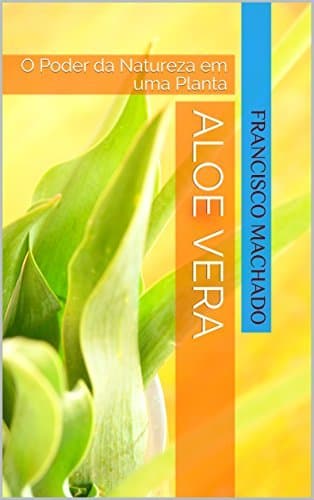 Lugar Aloe Vera: O Poder da Natureza em uma Planta