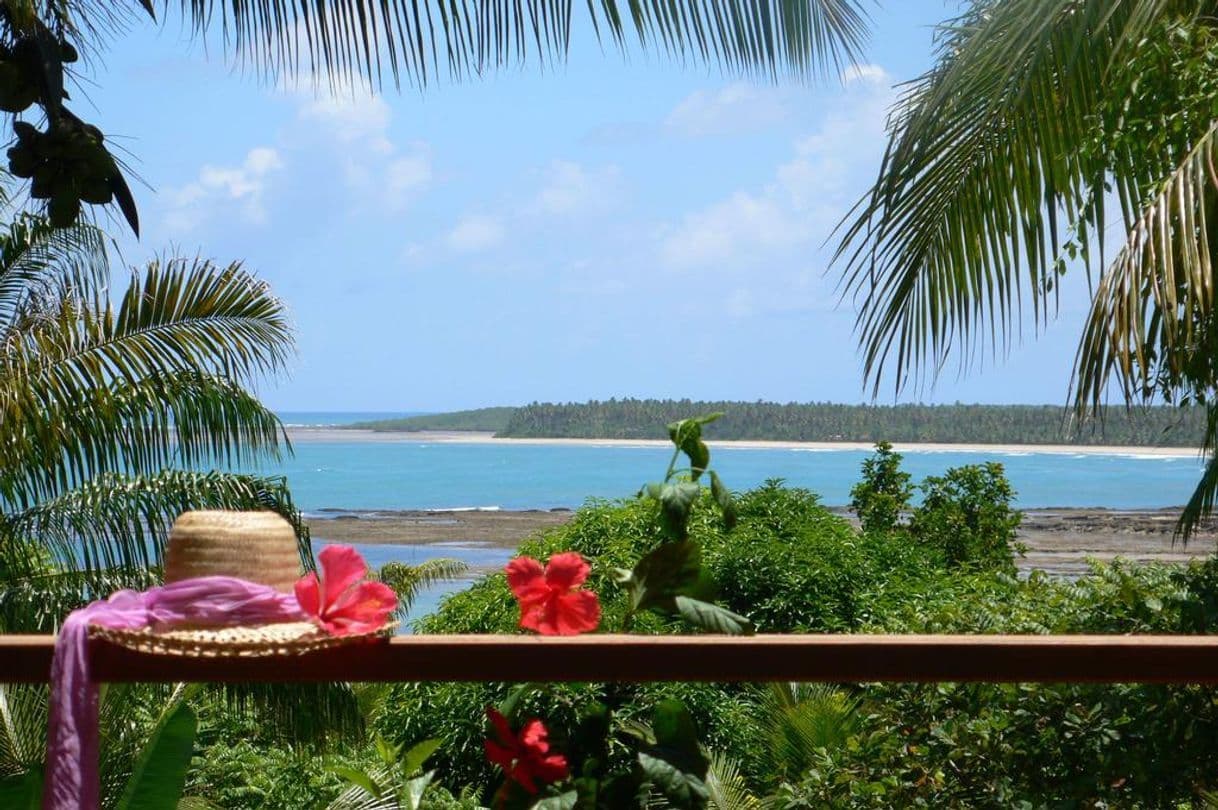 Restaurantes Praia De Boipeba