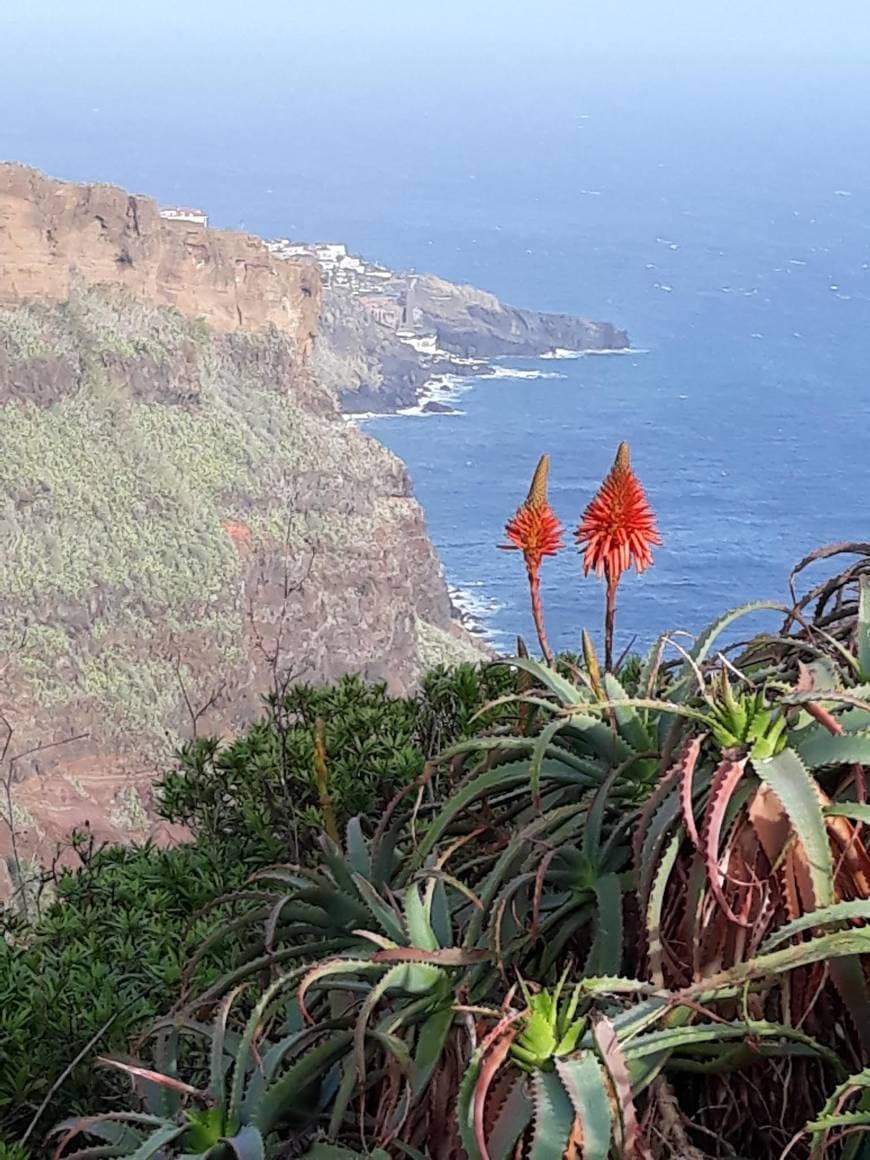 Lugar Madeira