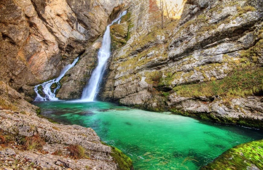 Place Bohinj