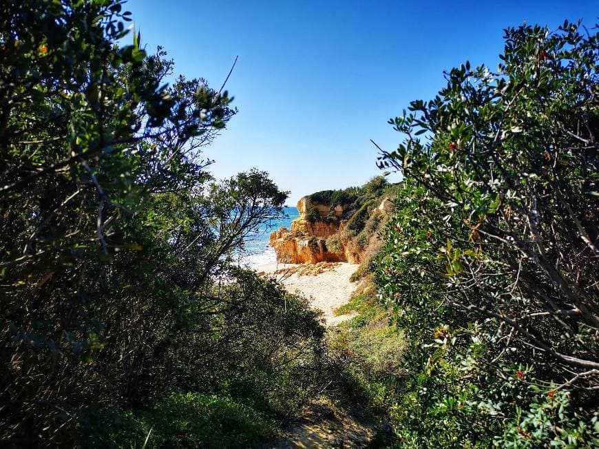 Lugar Praia do Castelo