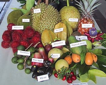 Moda Fruta - Wikipedia, la enciclopedia libre