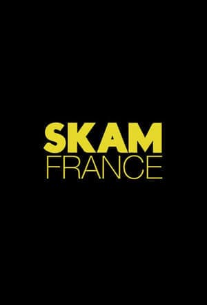 Serie SKAM France