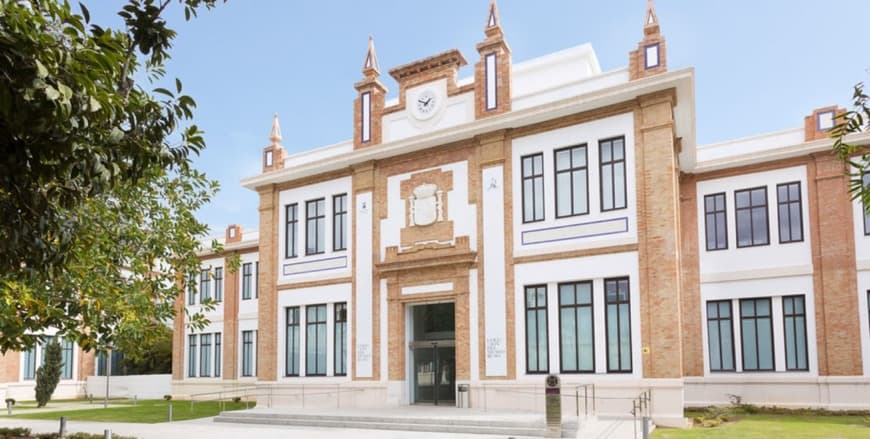 Lugar Colección del Museo Ruso / Málaga