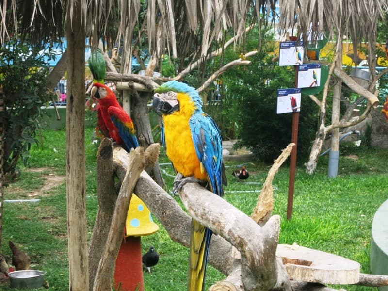 Place Parque de Las Leyendas