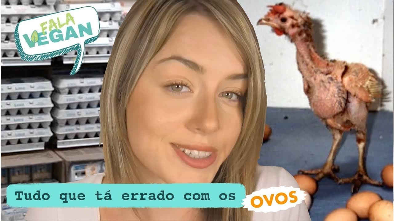 Fashion Tudo que tá errado com os ovos (dublado) - YouTube