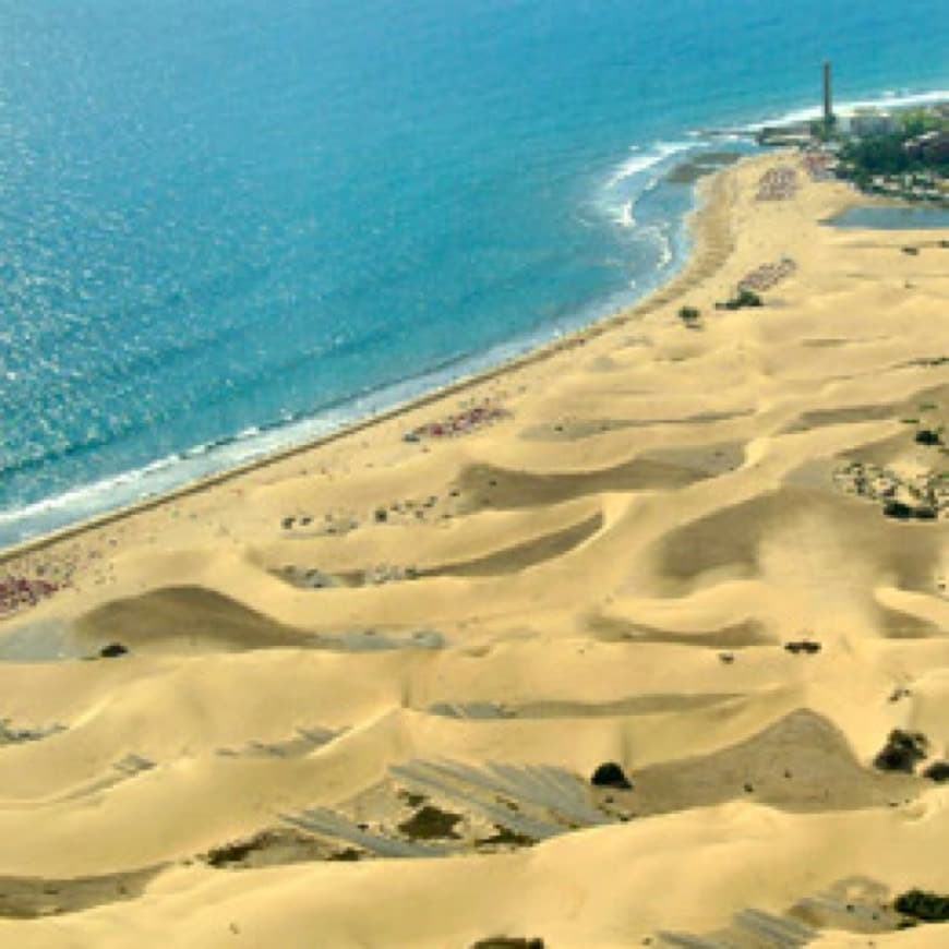 Place Dunas De Maspalomas