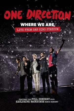 Película One Direction: Where We Are – The Concert Film