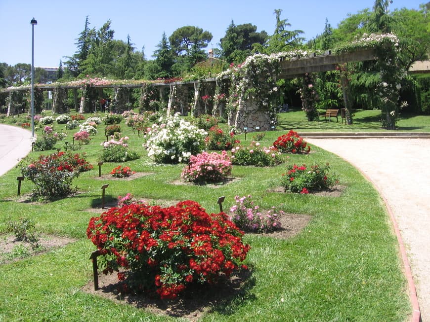 Lugar Parc de Cervantes