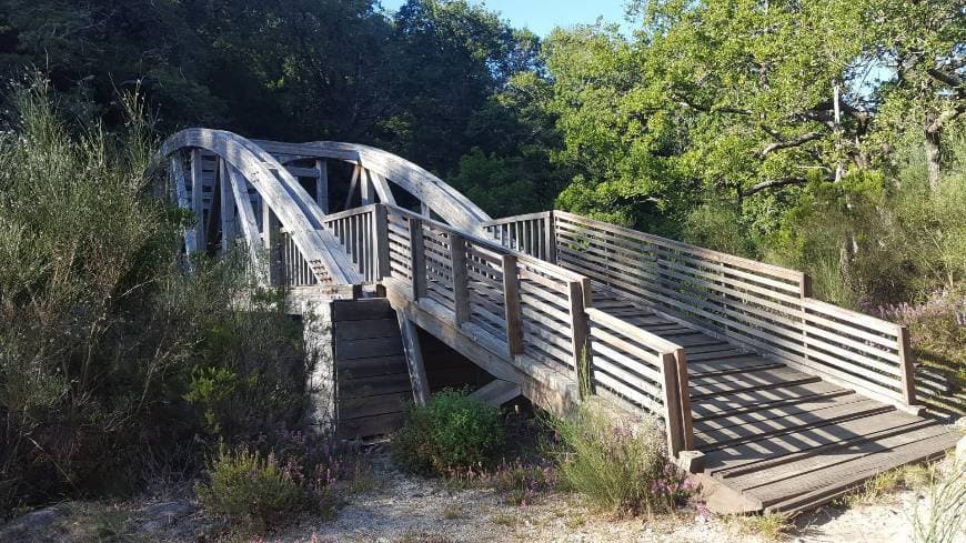 Lugar Trilhos das Sete Pontes