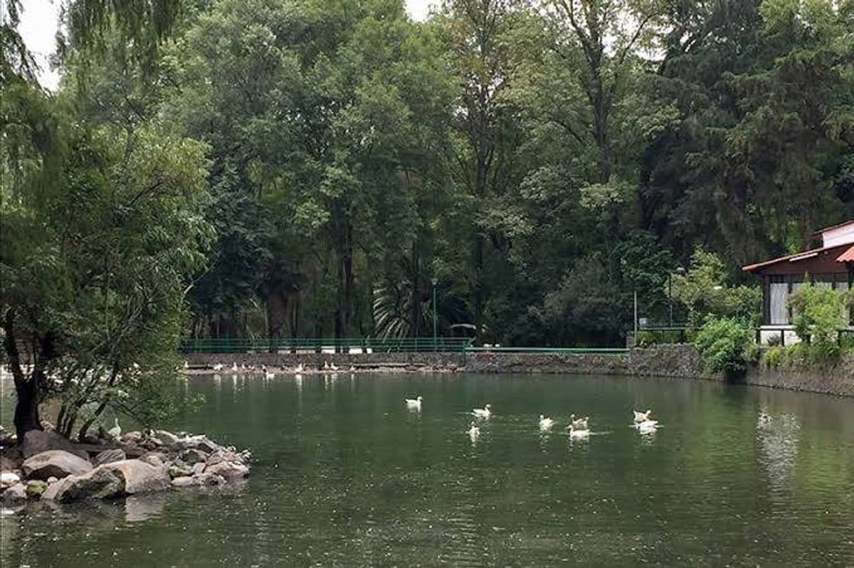 Restaurantes Parque Nacional "Fuentes Brotantes De Tlalpan"