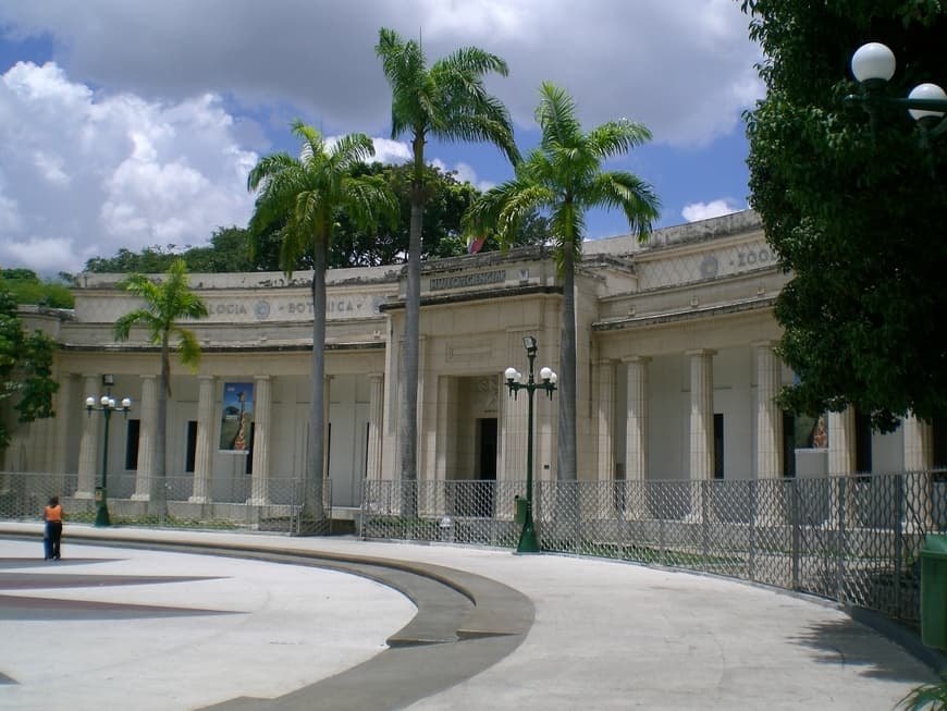 Lugar Museo de Ciencias Naturales