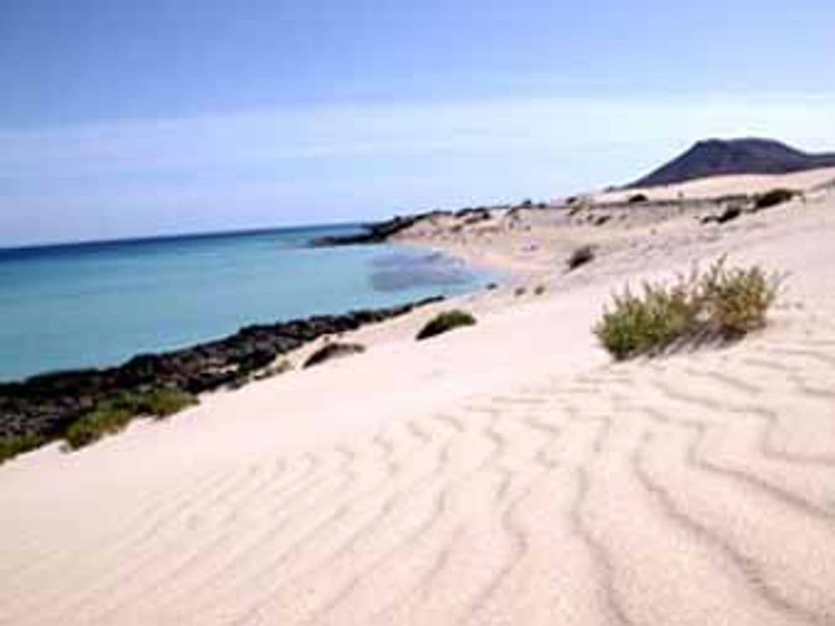 Place Las Dunas Corralejo