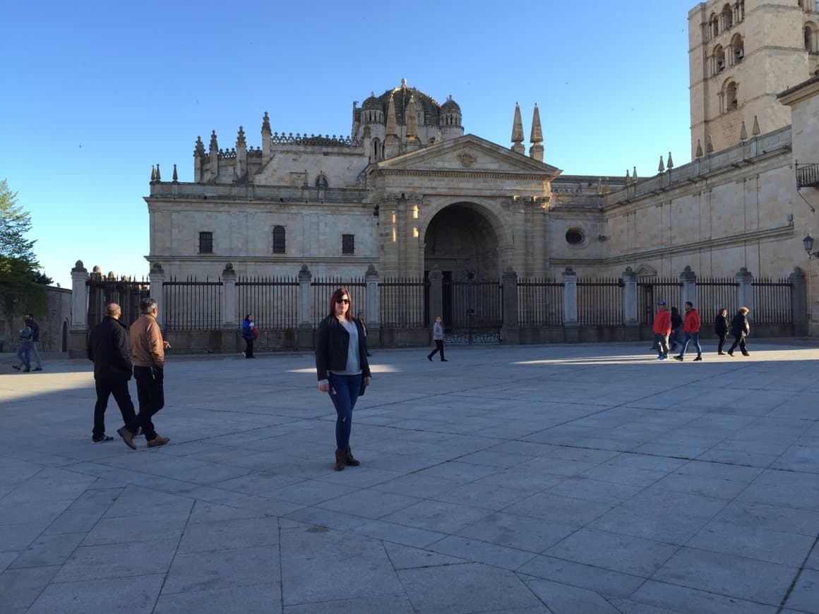 Lugar Castillo de Zamora