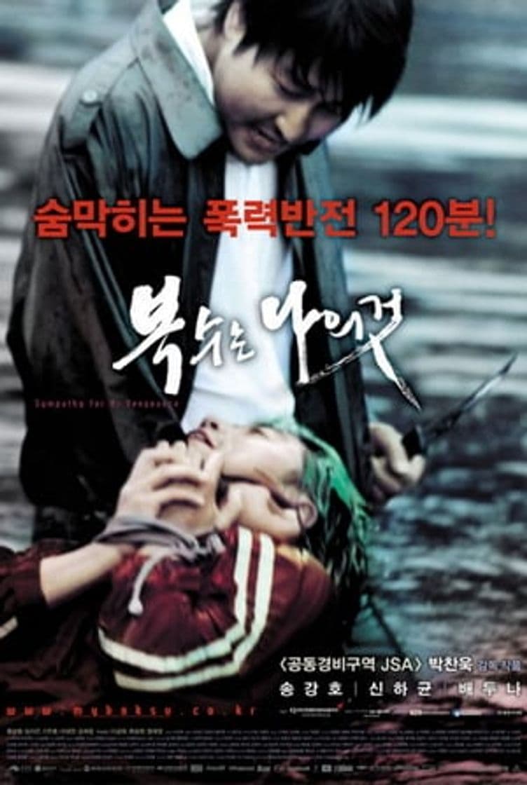 Movie Sympathy for Mr. Vengeance