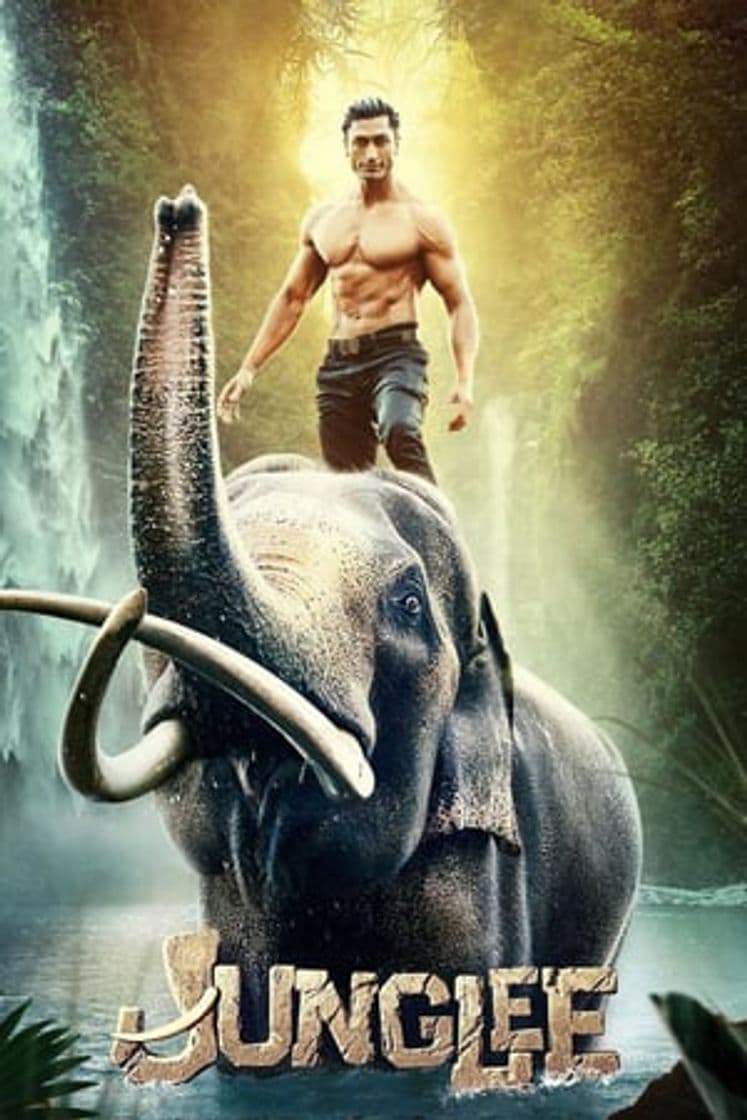 Movie Junglee