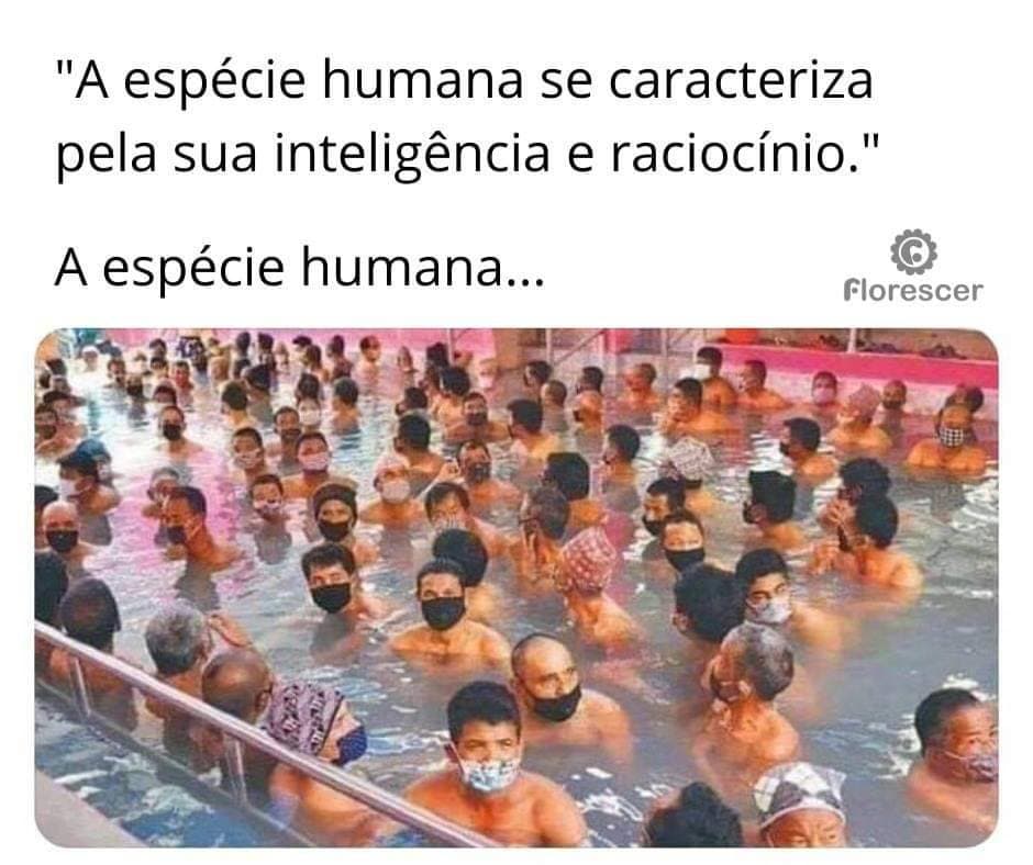 Fashion Coisas de humano né 