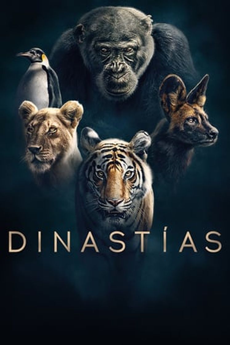 Serie Dynasties