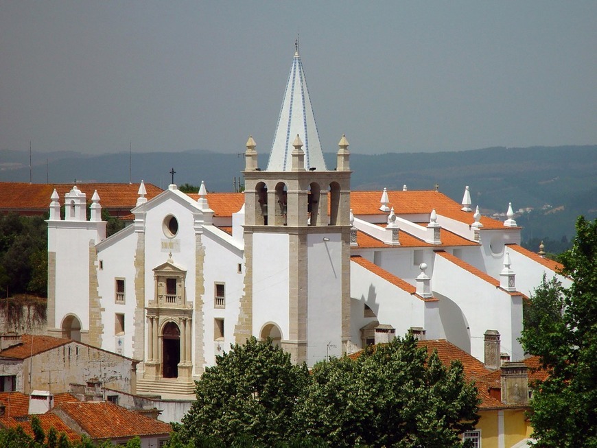 Place Igreja de São Vicente