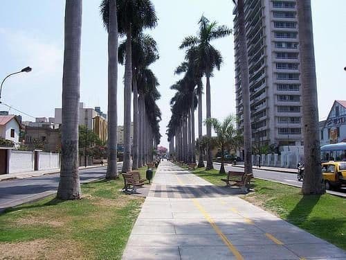 Lugar Avenida Arequipa