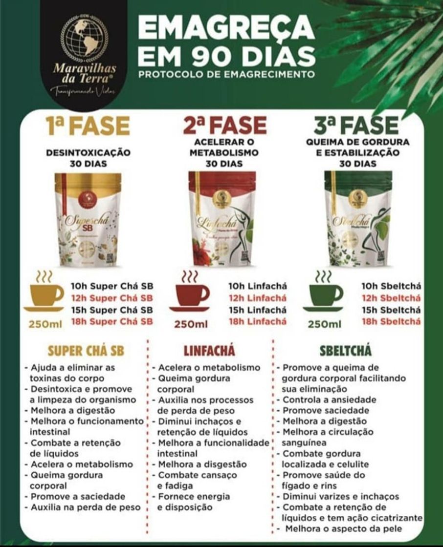 Product Cronograma de Emagrecimento 90 dias