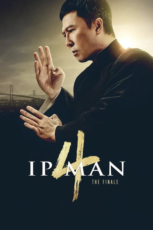 Movie Ip Man 4: The Finale