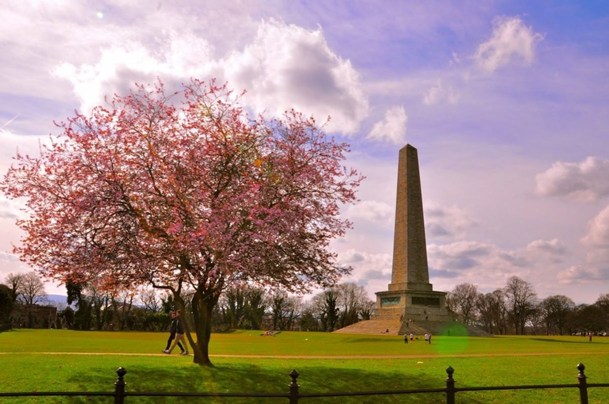 Lugar Phoenix Park