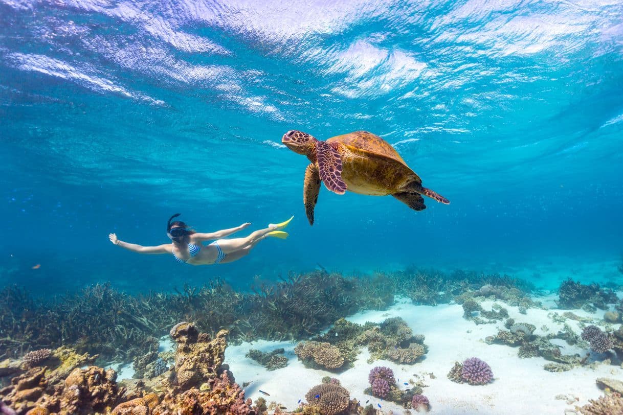 Moda Ningaloo Coast