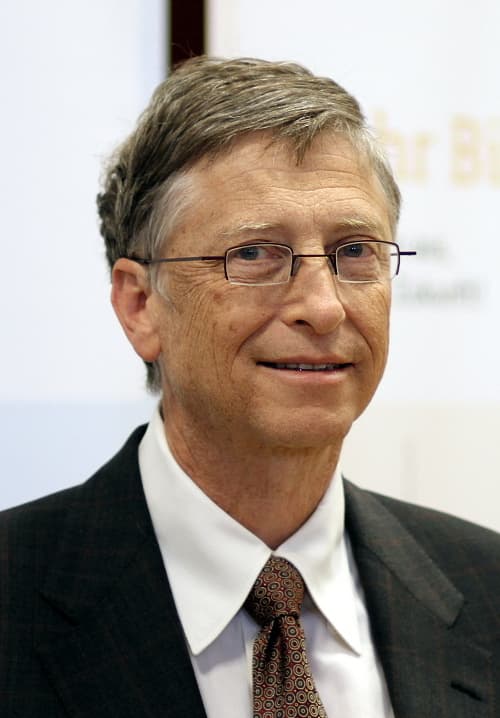 Fashion Bill Gates - Wikipedia