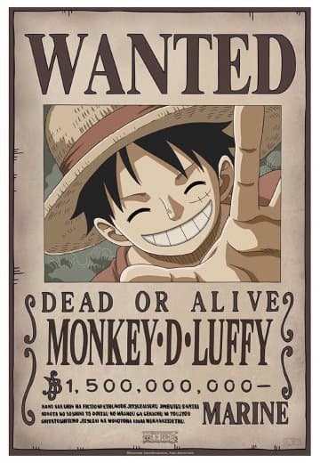 Product Poster One Piece.