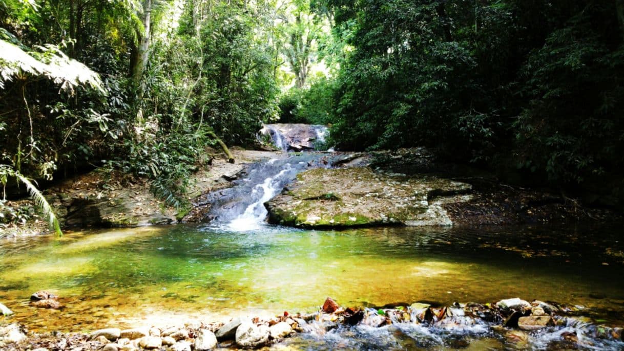 Place Tijuca National Park