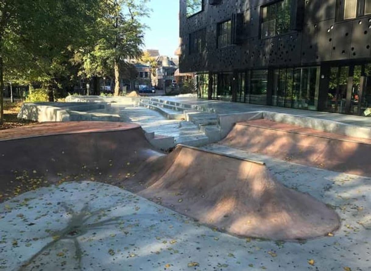 Place Oosterpark Skatepark