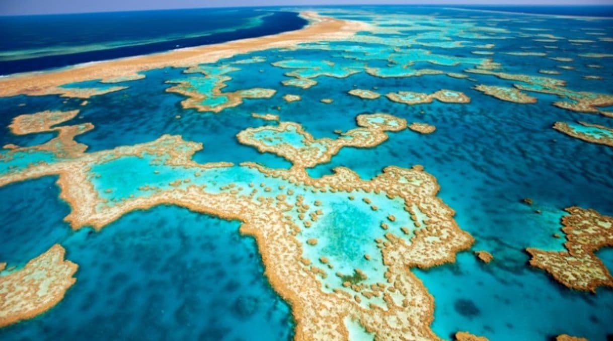 Lugar Great Barrier Reef