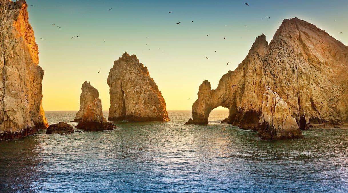 Place Los Cabos