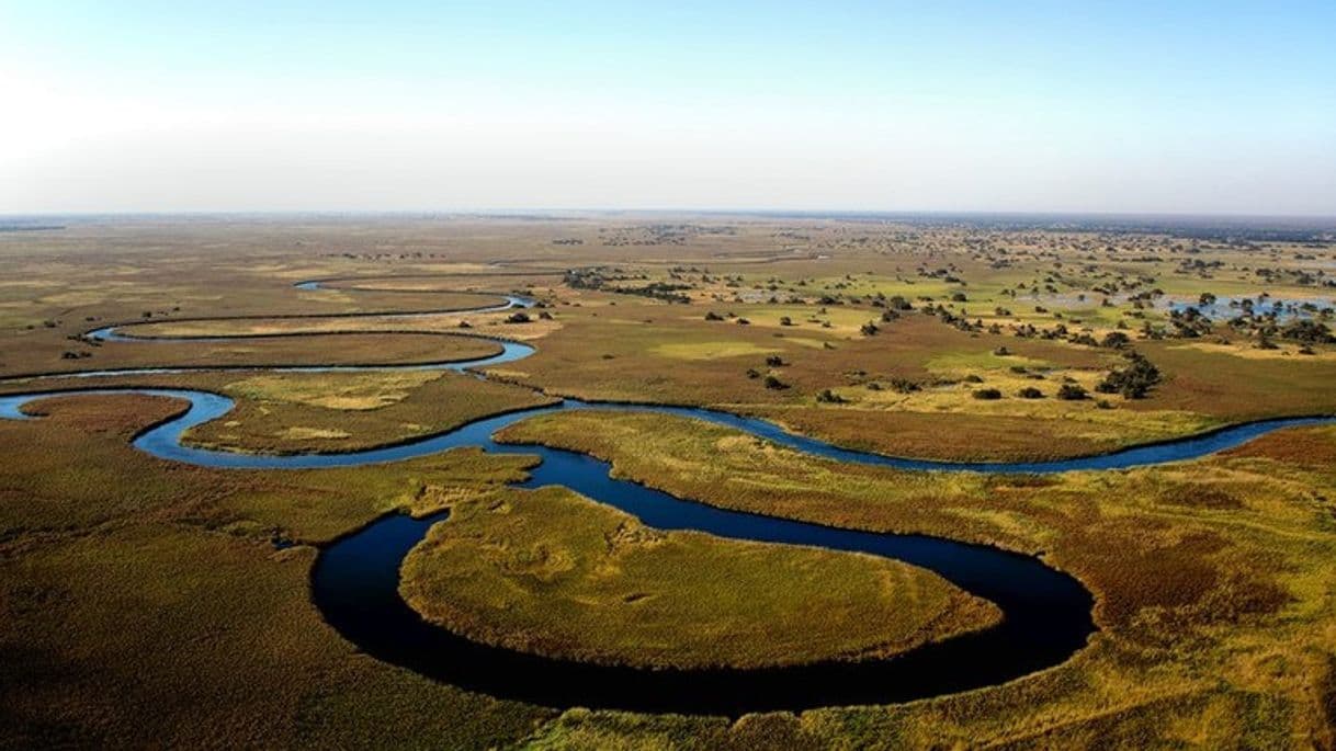 Place Okavango