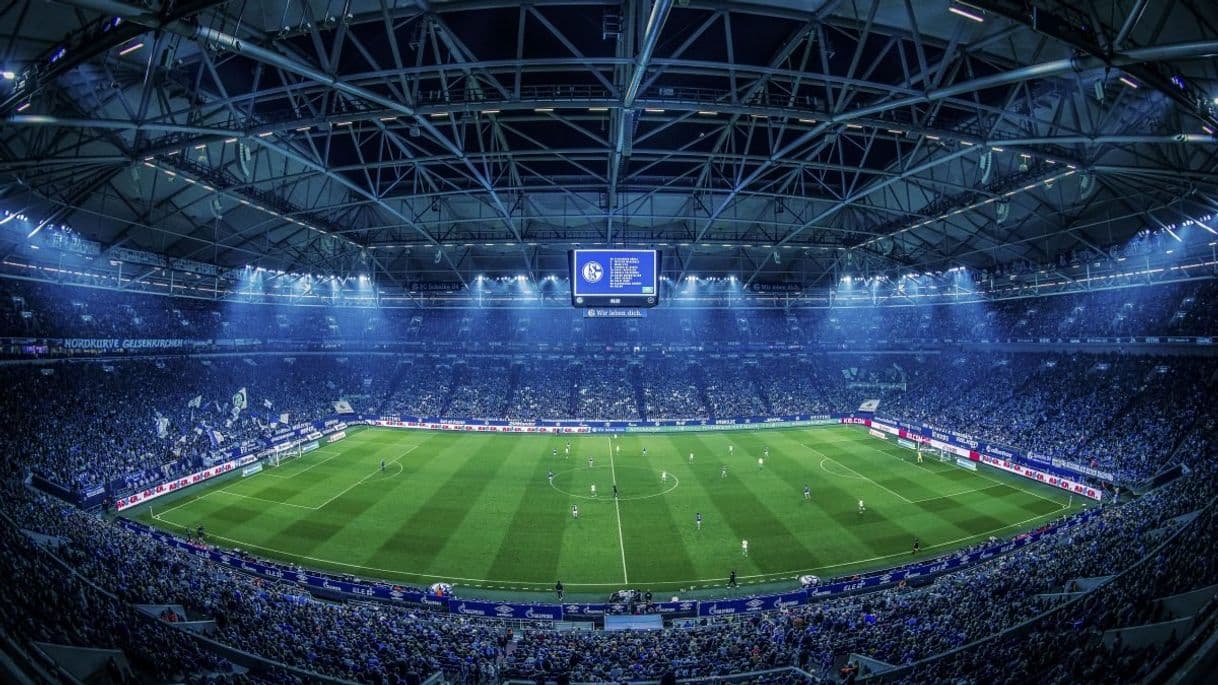 Place Veltins-Arena