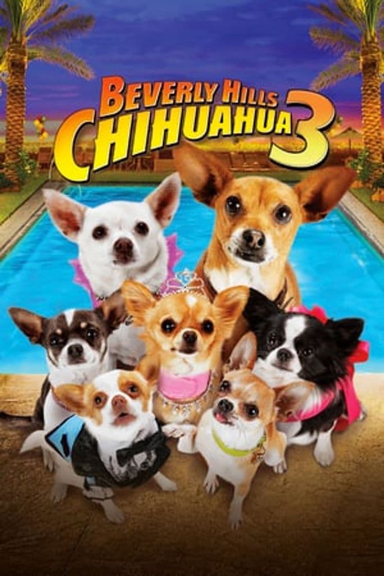 Película Beverly Hills Chihuahua 3 - Viva La Fiesta!