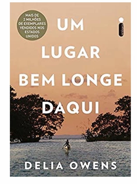 Book Um Lugar Bem Longe Daqui