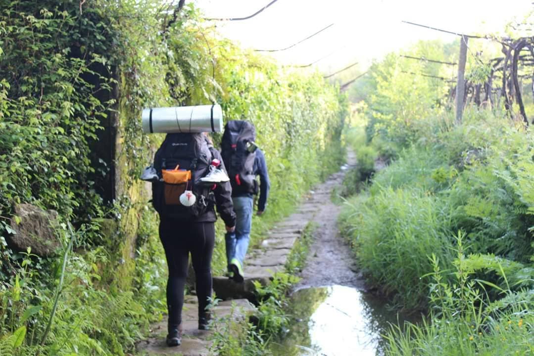 Lugar Caminho Santiago Compostela