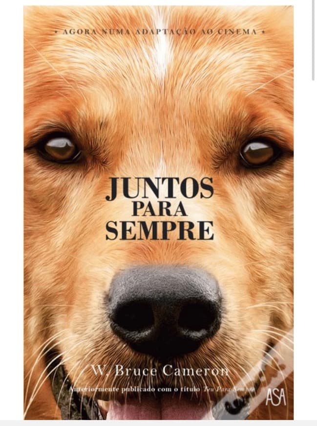 Book Juntos para sempre