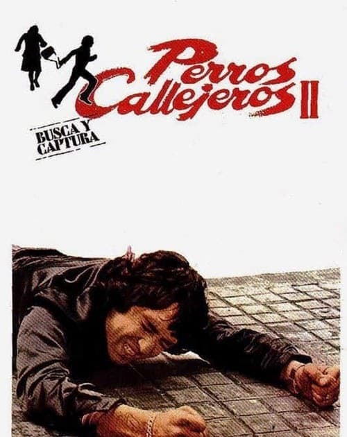 Película Street Warriors II