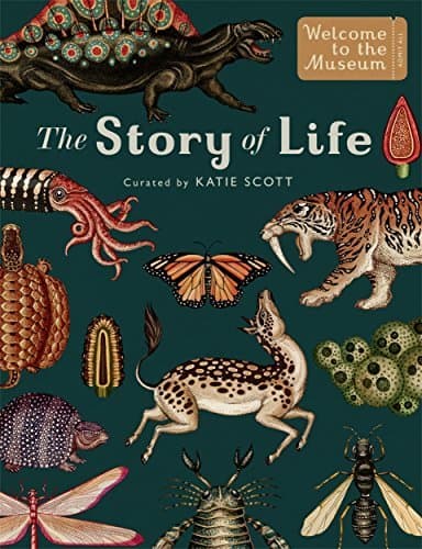 Book Story Of Life. Mini Gift Edition