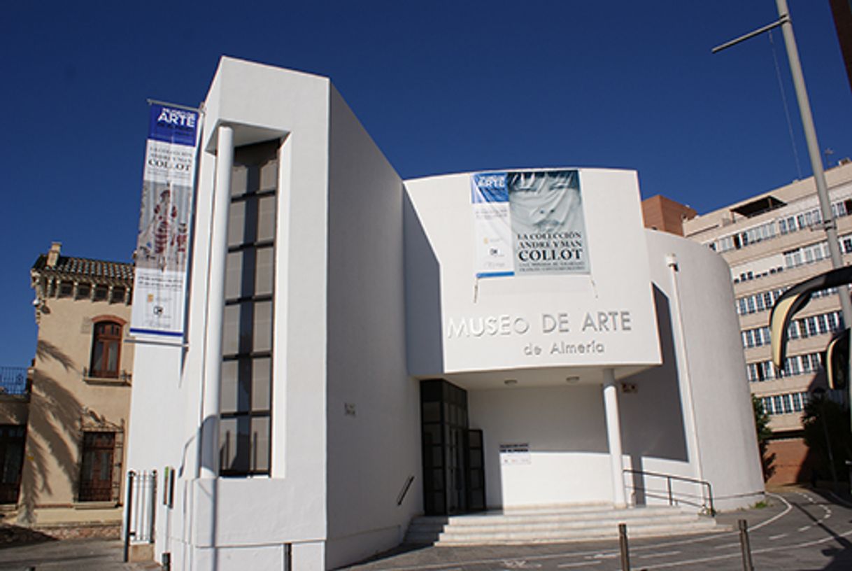 Lugar Museo de Arte de Almería Espacio2